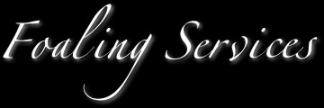 Foaling Services