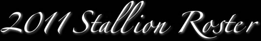 Stallion Roster